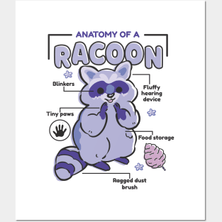 Awesome Raccoon Explanation Anatomy Of A Raccoon Posters and Art